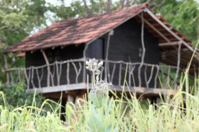 Eagles Wing's GuestHouse